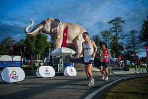 BIB: 
                            <button type="button" onclick="openModal(26541544)" class="btn btn-primary btn-sm float-right btn-popup" data-toggle="modal" data-target=".modal-high-quality">
                        <i class="fas fa-shopping-cart"></i> Add to Cart
                    </button>
                                            <button type="button" onclick="isThisMe(26541544, true)" class="btn btn-success btn-sm float-right btn-popup btn-isme hidden" data-toggle="tooltip" data-placement="bottom" title="นี่คือรูปของคุณใช่ไหม คลิกที่นี่เพื่อเอาเข้าอัลบั้ม">
                        <i class="fas fa-plus"></i> Add to album
                    </button>
                    <button type="button" onclick="isThisMe(26541544, false)" class="btn btn-warning btn-sm float-right btn-popup btn-isnotme hidden">
                        <i class="fas fa-ban"></i> Remove from album
                    </button>